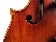 Violino