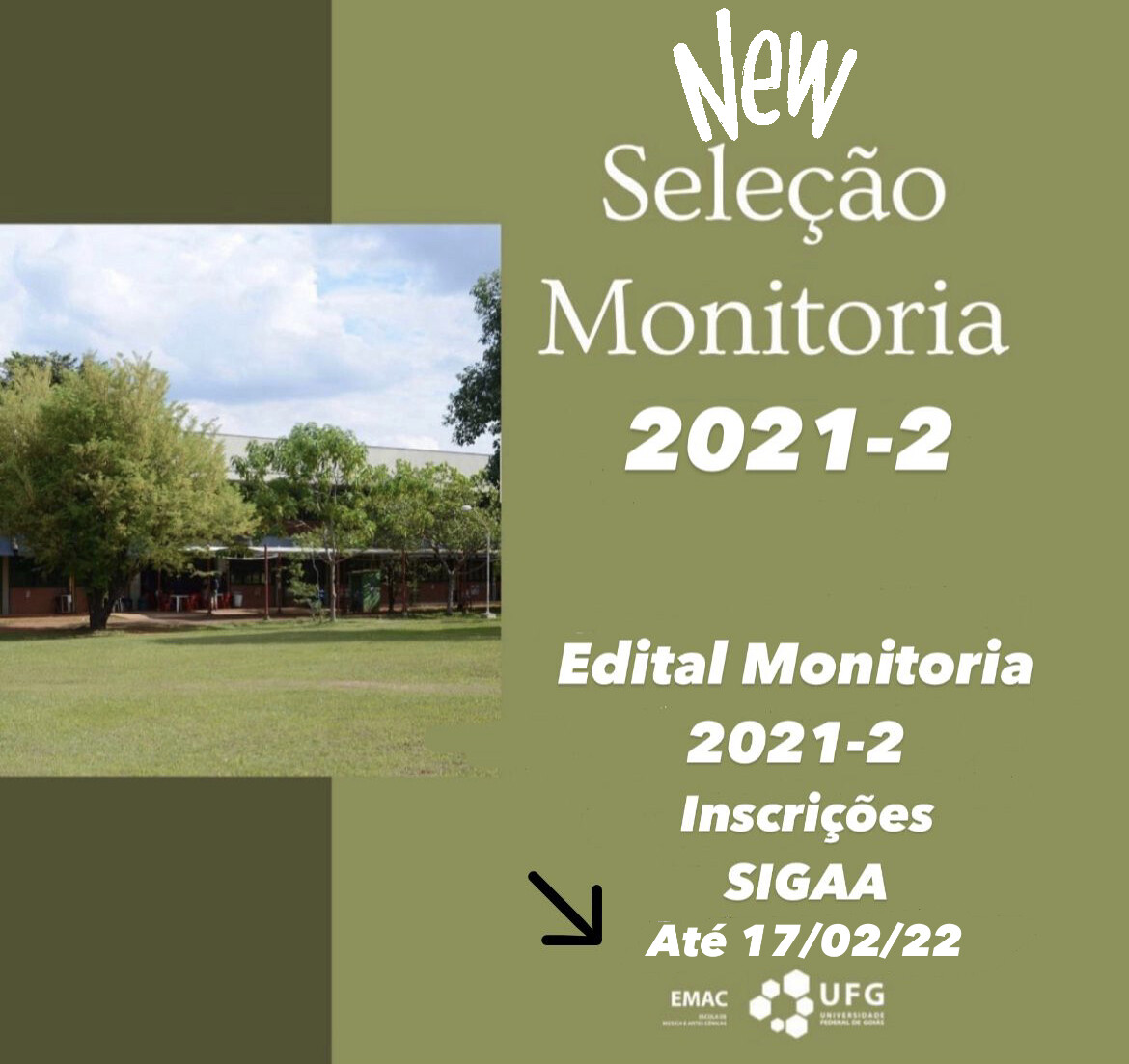 Monitoria 2022