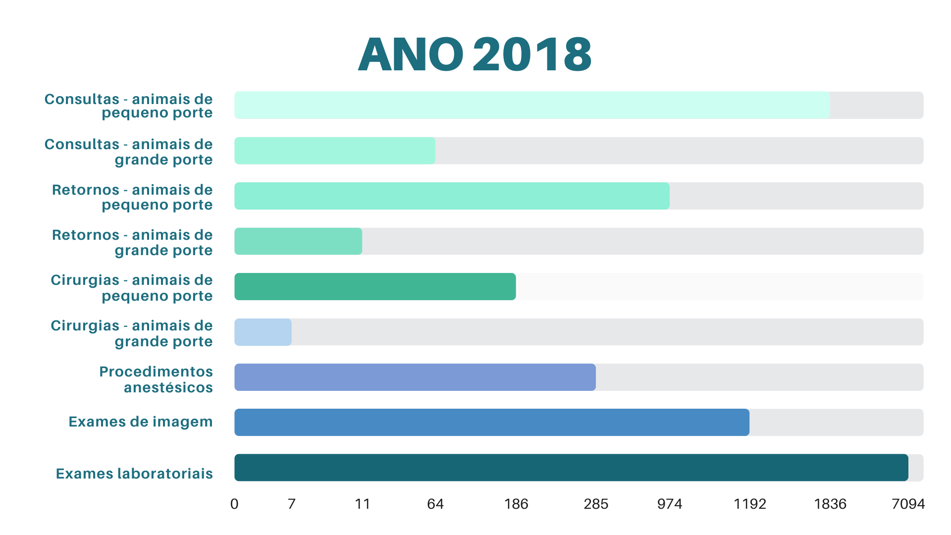 HV em Números - Ano 2018