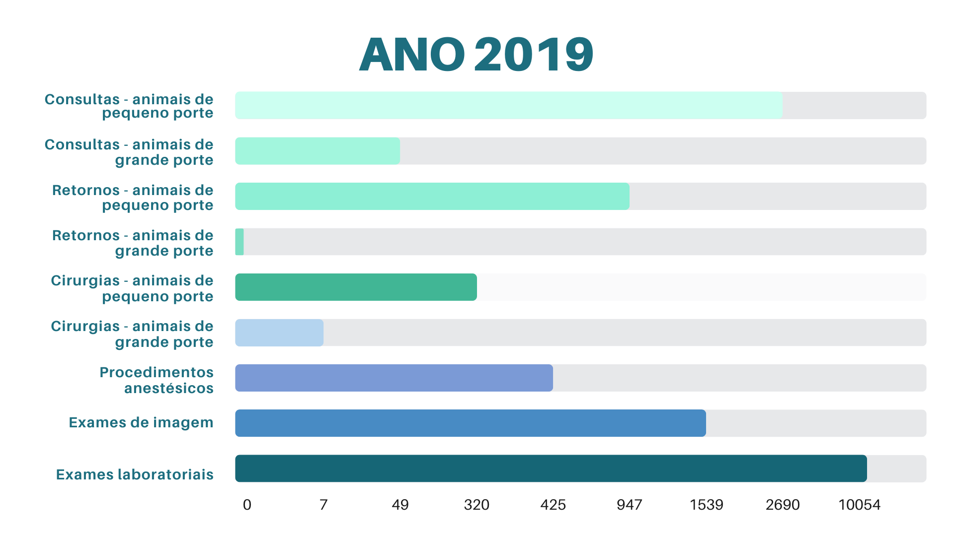 HV em Números - Ano 2018