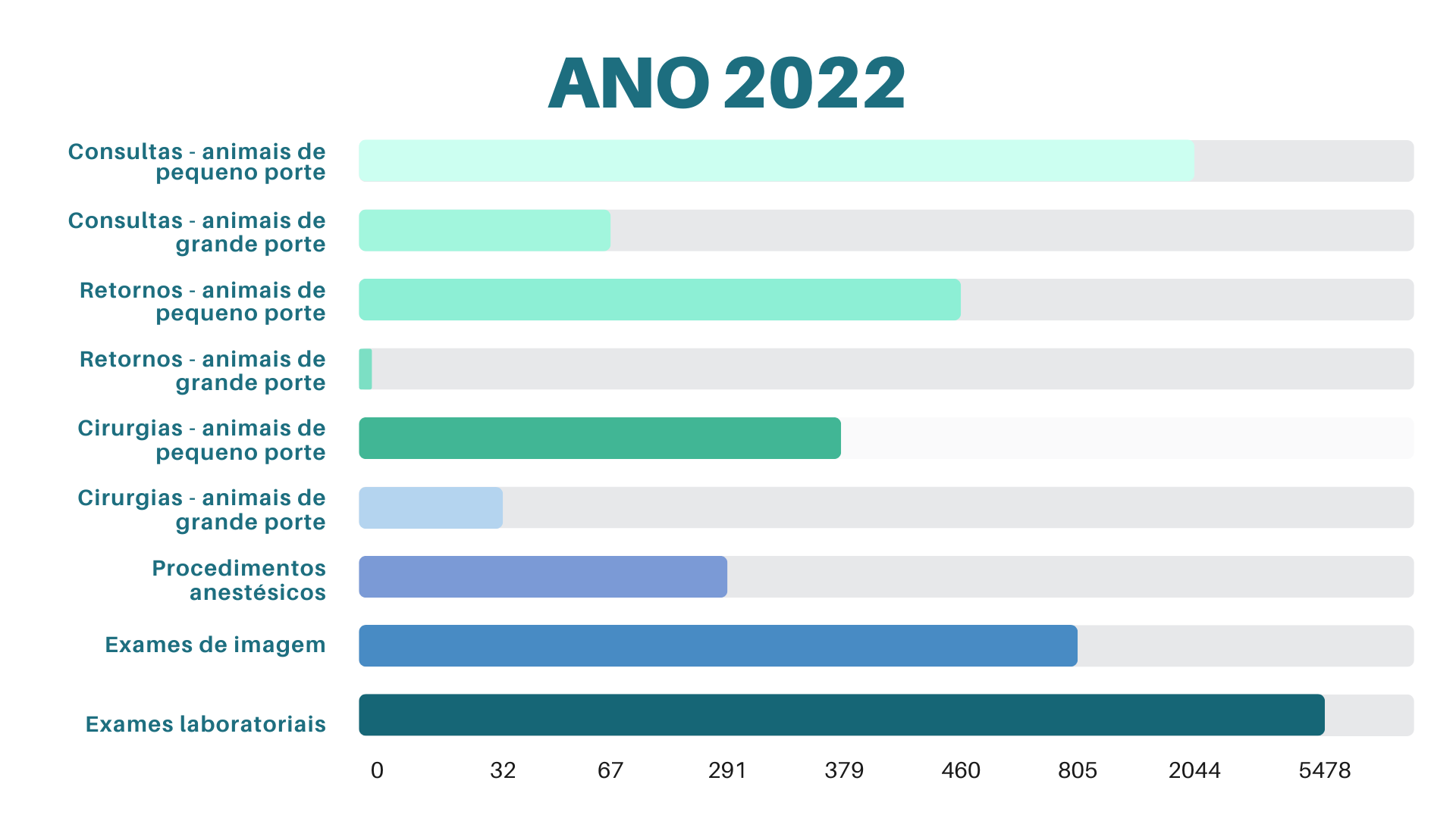 HV em Números - Ano 2022