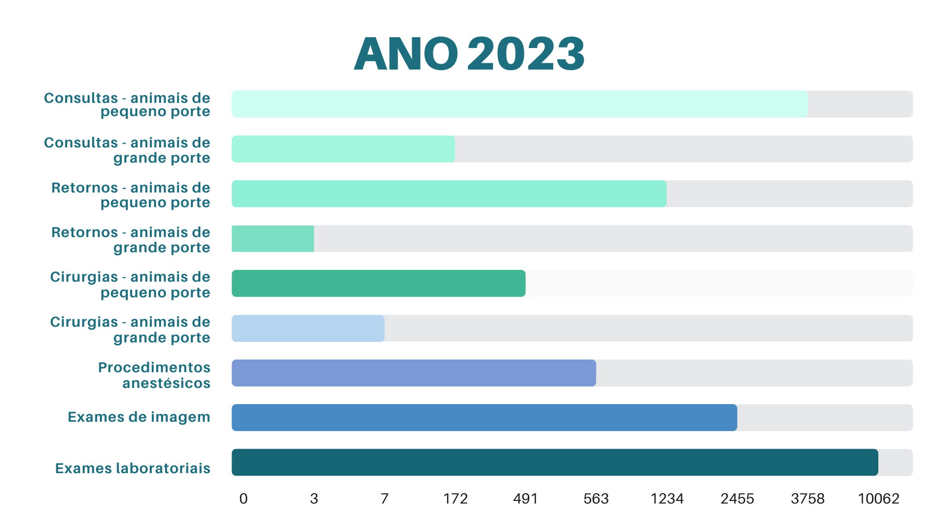 HV em Números - Ano 2023