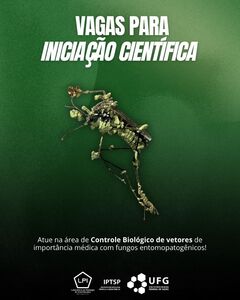 Vaga IC