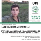 Defesa TCC Luiz