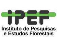 IPEF