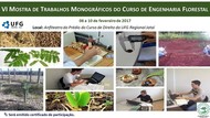 VIMostra