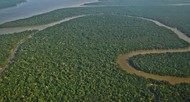 Amazonia