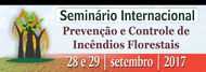 seminarioincendio
