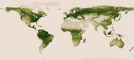 FlorestasNasa