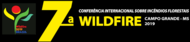 wildfire