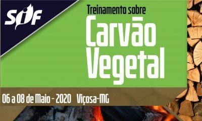 TreinamentoCarvaoVegetal TreinamentoCarvaoVegetal
