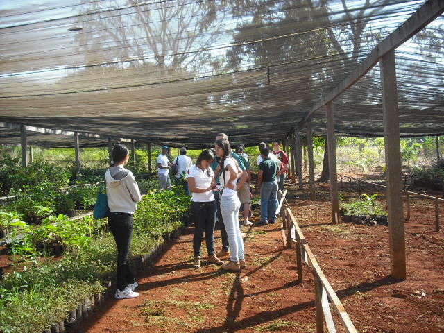 I Encontro Regional de Ciências Florestais do Sudoeste Goiano 7