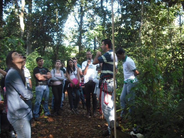 I Encontro Regional de Ciências Florestais do Sudoeste Goiano 8