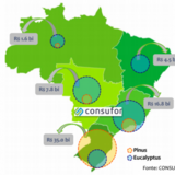 mapa mapa