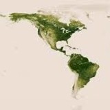 FlorestasNasa FlorestasNasa