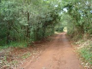 Trabalho de Campo