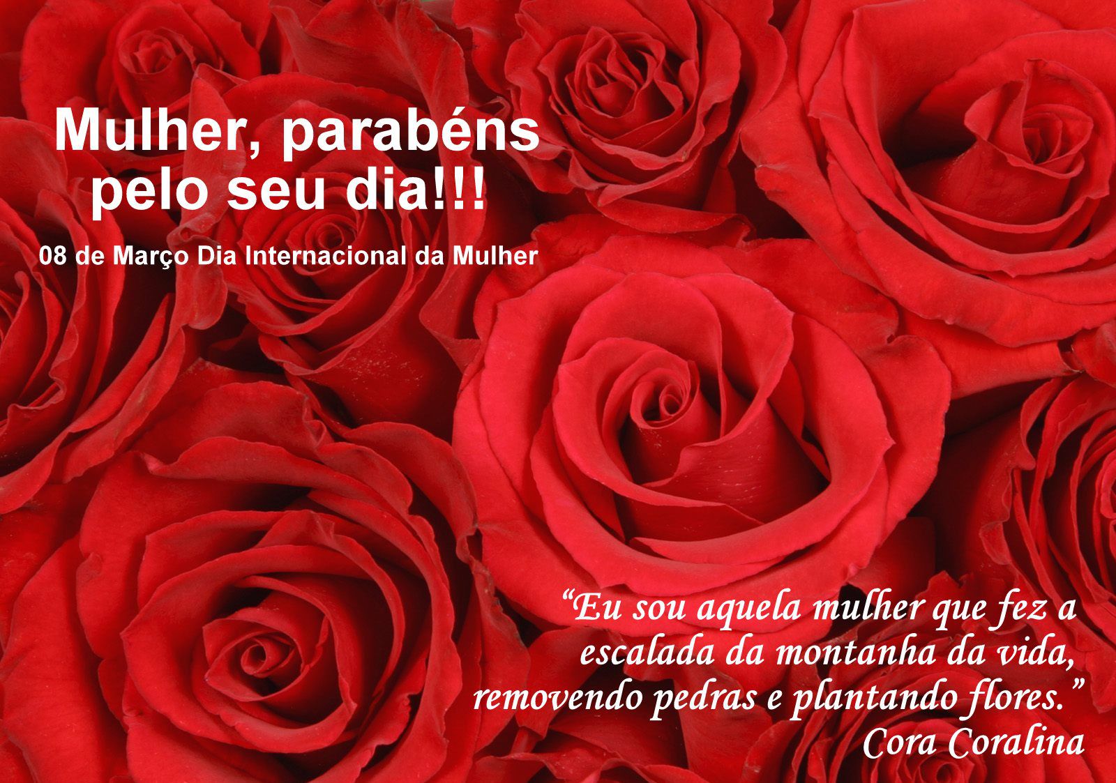 Dia Internacional da Mulher