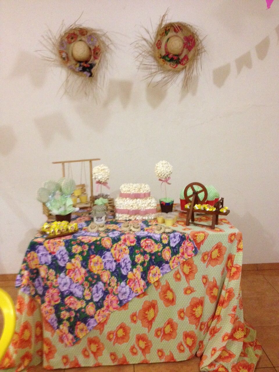 arraia do pet