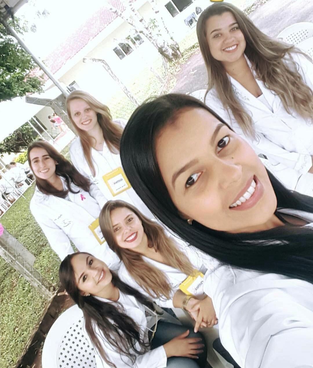projeto colmeia 