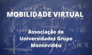 Mobilidade virtual