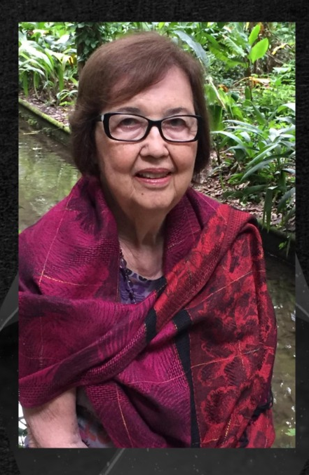  Professora Zaíra da Cunha Melo Varizo