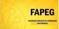 Bolsa doutorado fape
