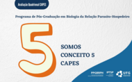 Conceito 5