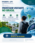 Professor Visistante
