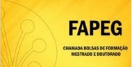 bolsas fapeg
