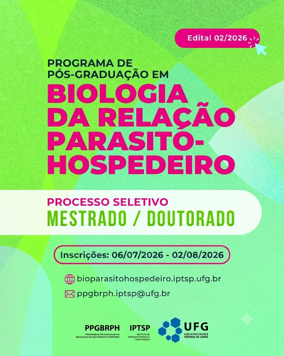 feed 2026-2