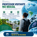 Professor Visistante
