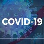 covid-19