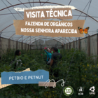 Visita técnica realizada juntamente ao PETNut