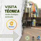 Capa Zoo Brasília