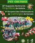 PET cultura orquideas