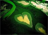 Natureza 