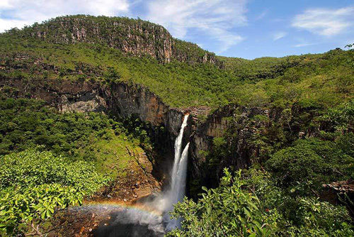 cerrado