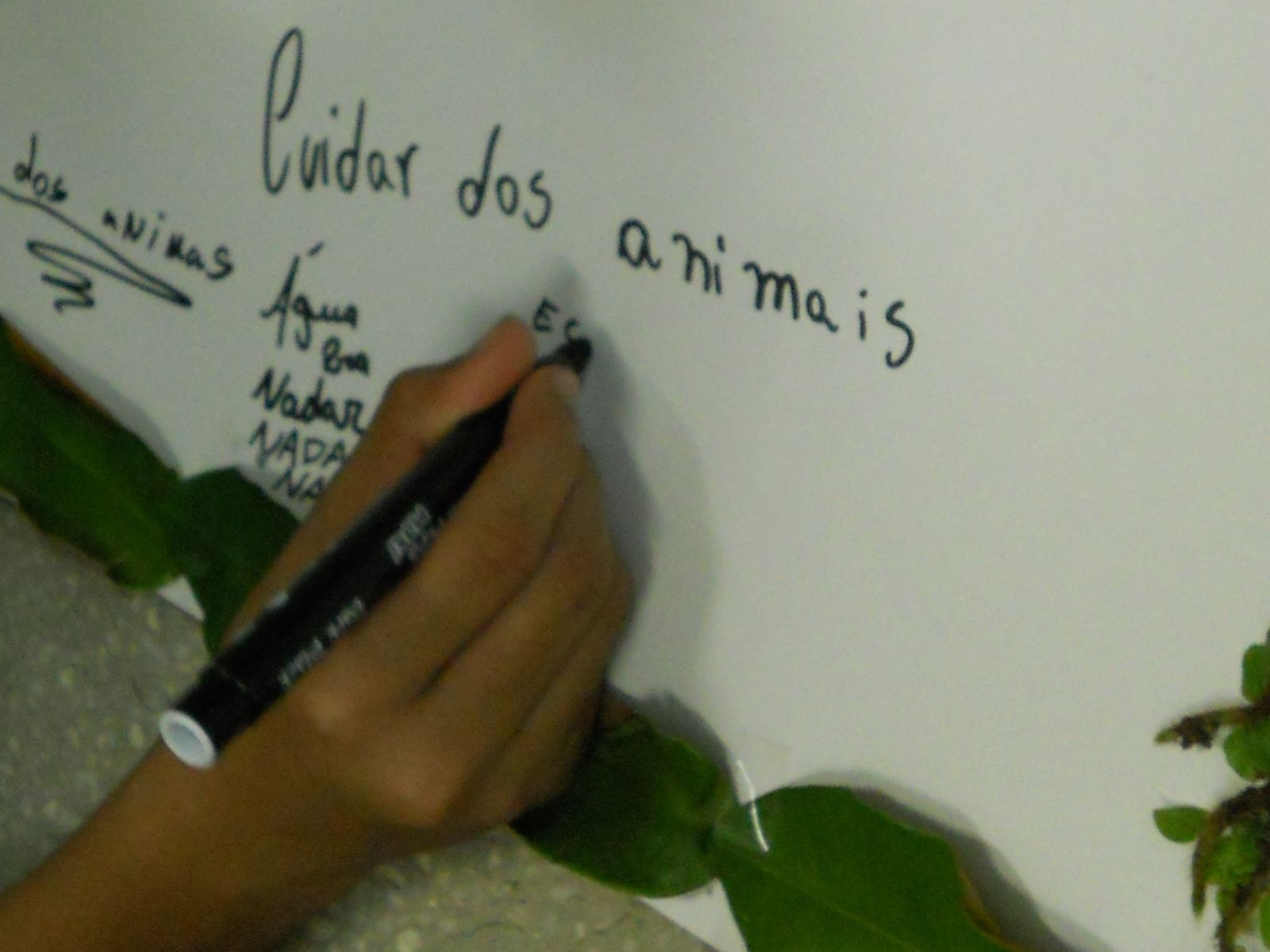 concurso 6