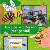 Grupo de Estudos Abelha sem Ferrão