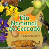13 setembro