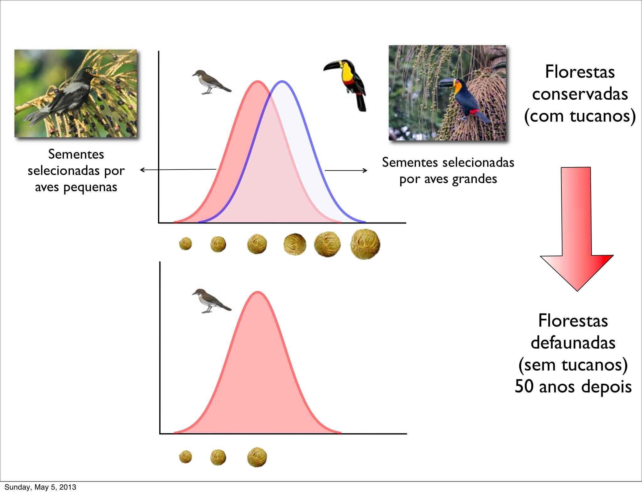 Figura 1 - Science