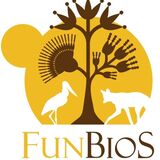LOGO FUNBIOS