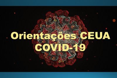 Orientações CEUA COVID