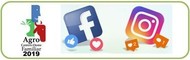 Redes sociais