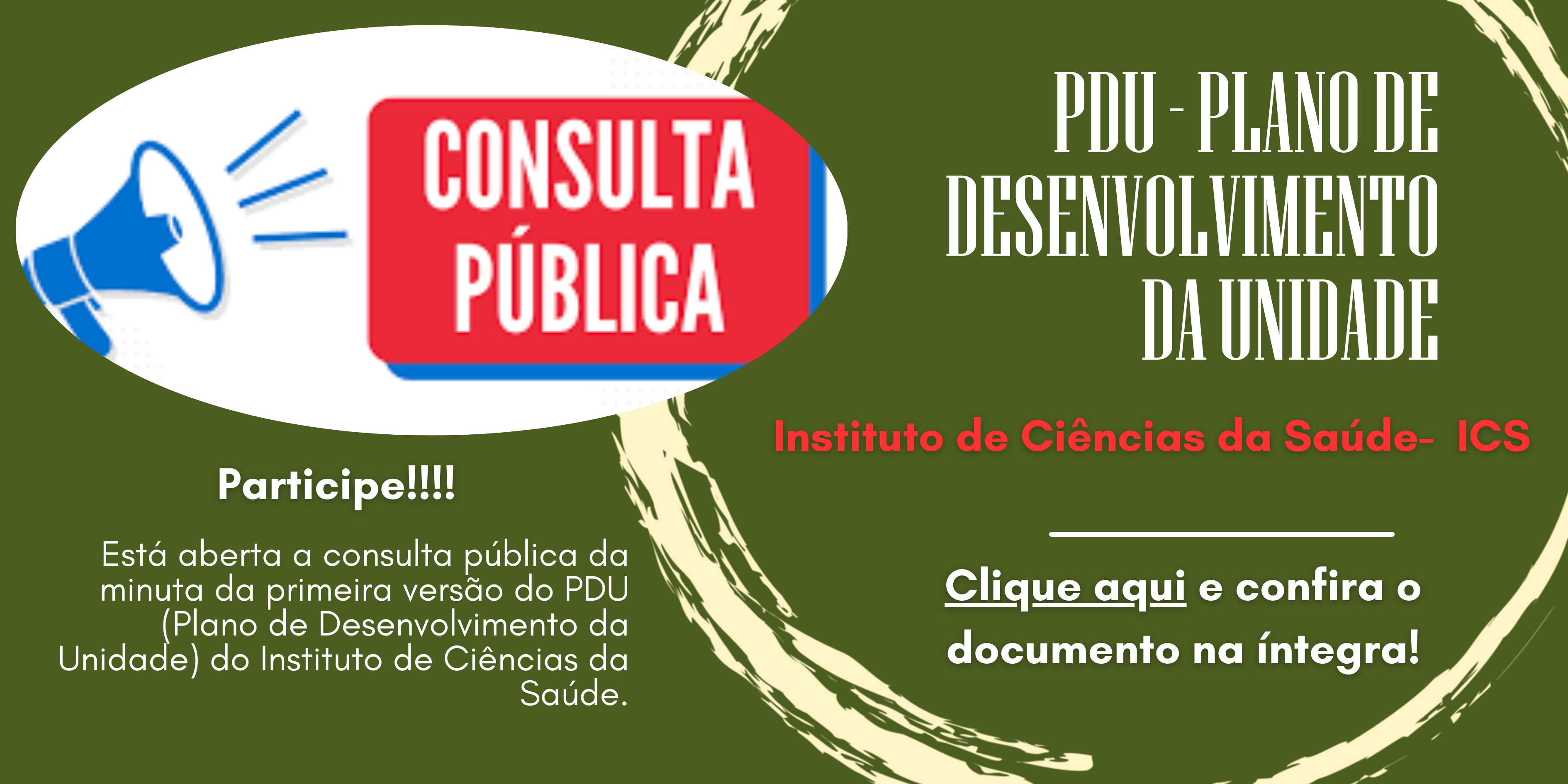consulta pública