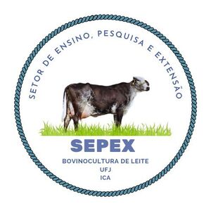 SEPEX em Bovinocultura de  de Leite