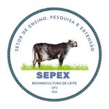 SEPEX em Bovinocultura de  de Leite