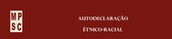 Autodeclaração