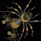 noticia1314945505.gif