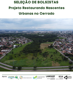 Seleção de Bolsistas